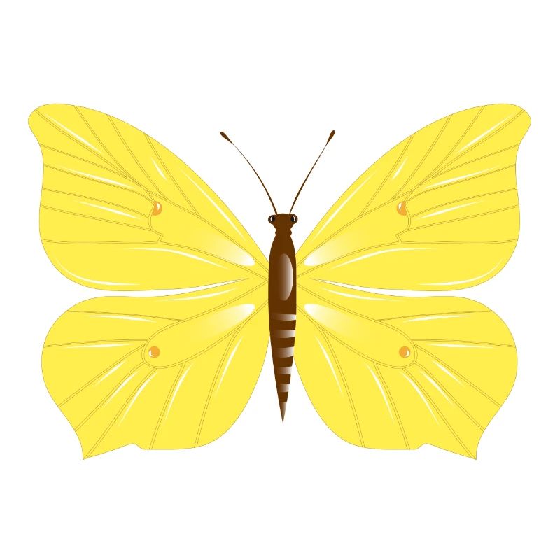 Papillon citron dessiné à la main
