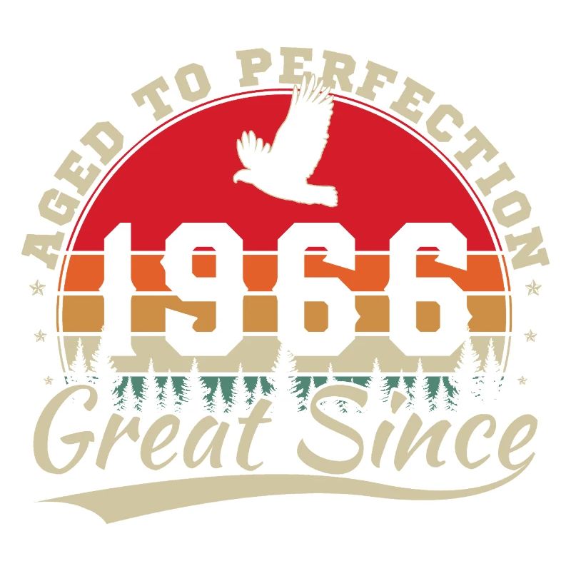 1966 Vintage Retro Geburtstagsgeschenk