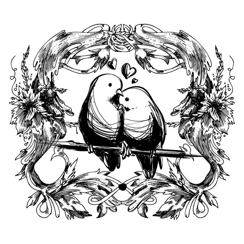 Inséparables / amour / relation / oiseaux / oiseau
