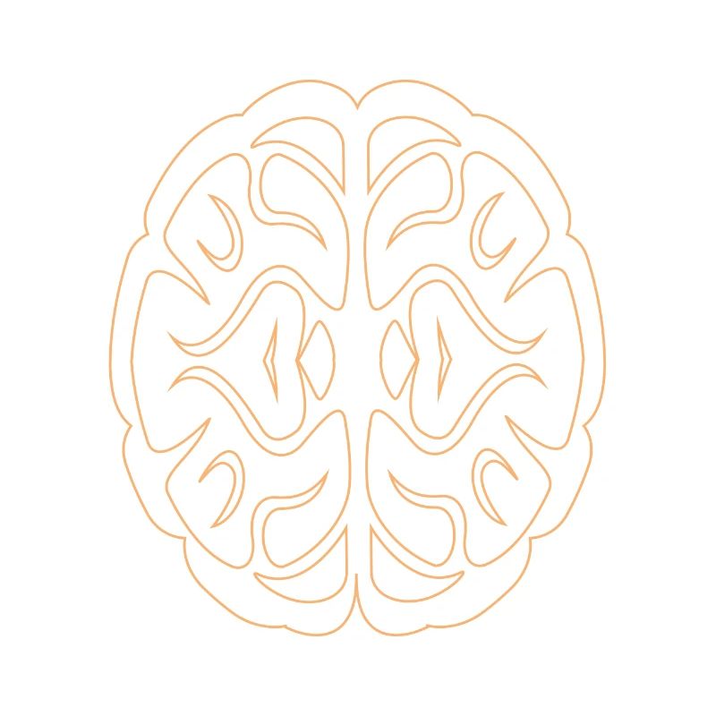 Brain01