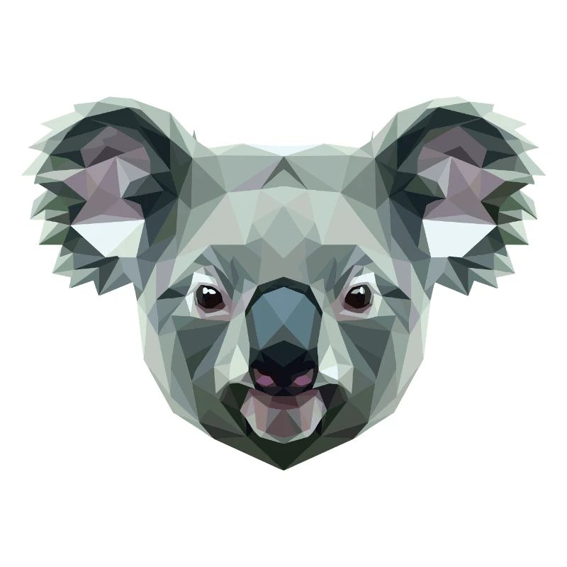 Koala Bear Australia Koala Bear Cute Koala Bears