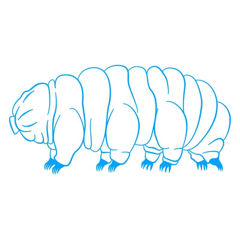 Tardigrade Tardigrade Water Bear Tardigrade