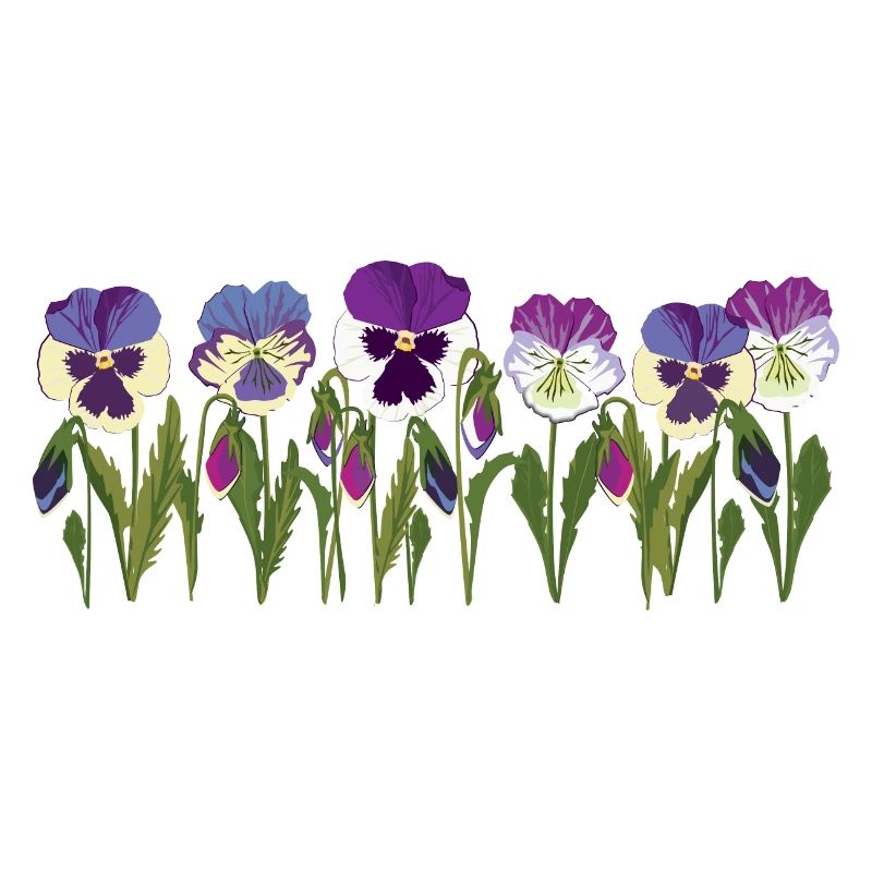 Rangée de fleurs de pensée en violet