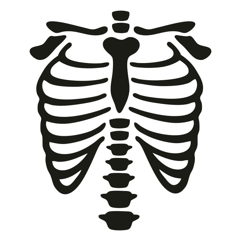xray_vector