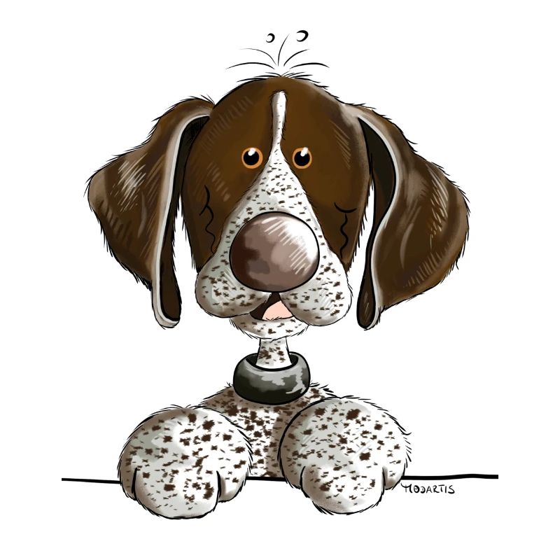 German Shorthaired Pointer
