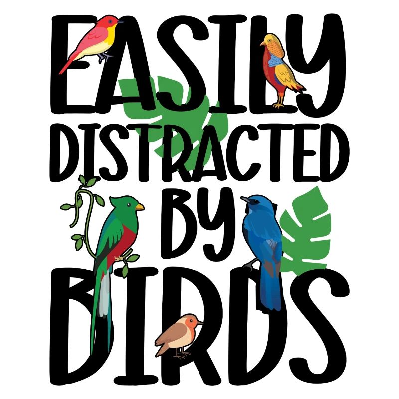 Facilement distrait par les oiseaux