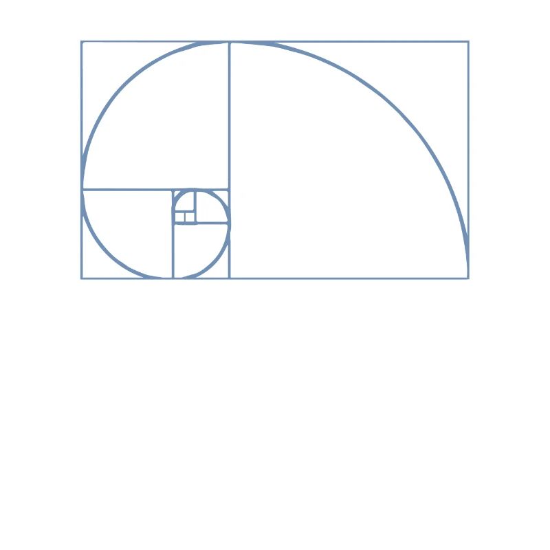Fibonacci Tshirt