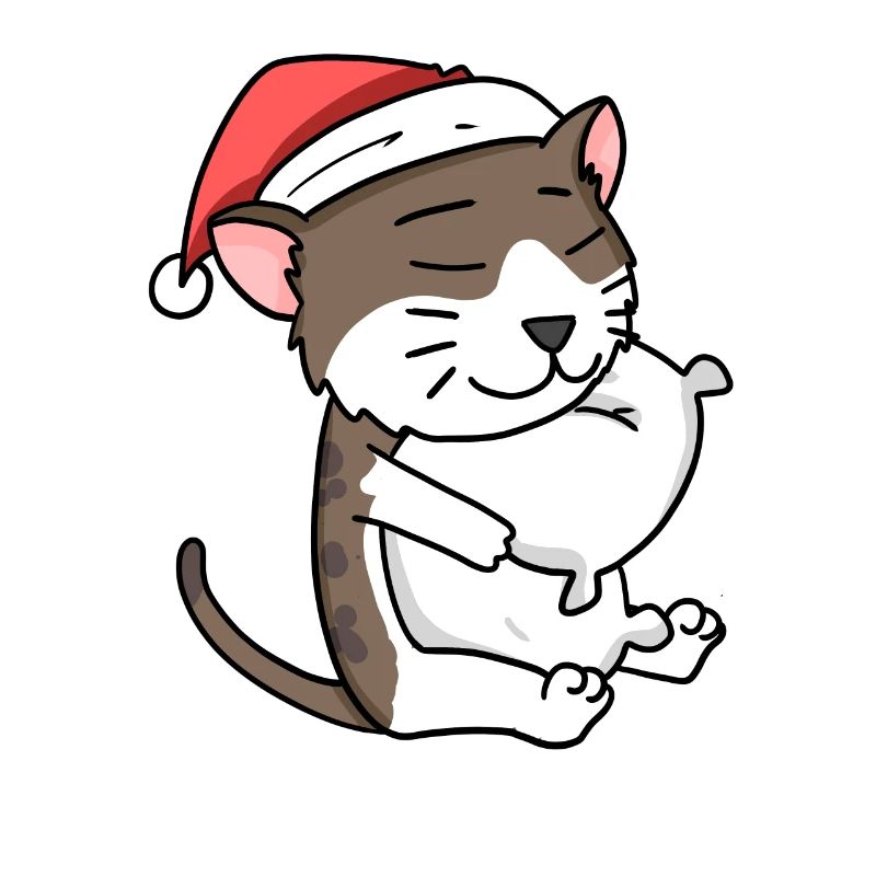 Chat Mignon Chat Birman Fatigué Noël