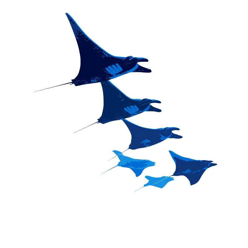 Manta Ray, Devil Ray, Stingray, Diver