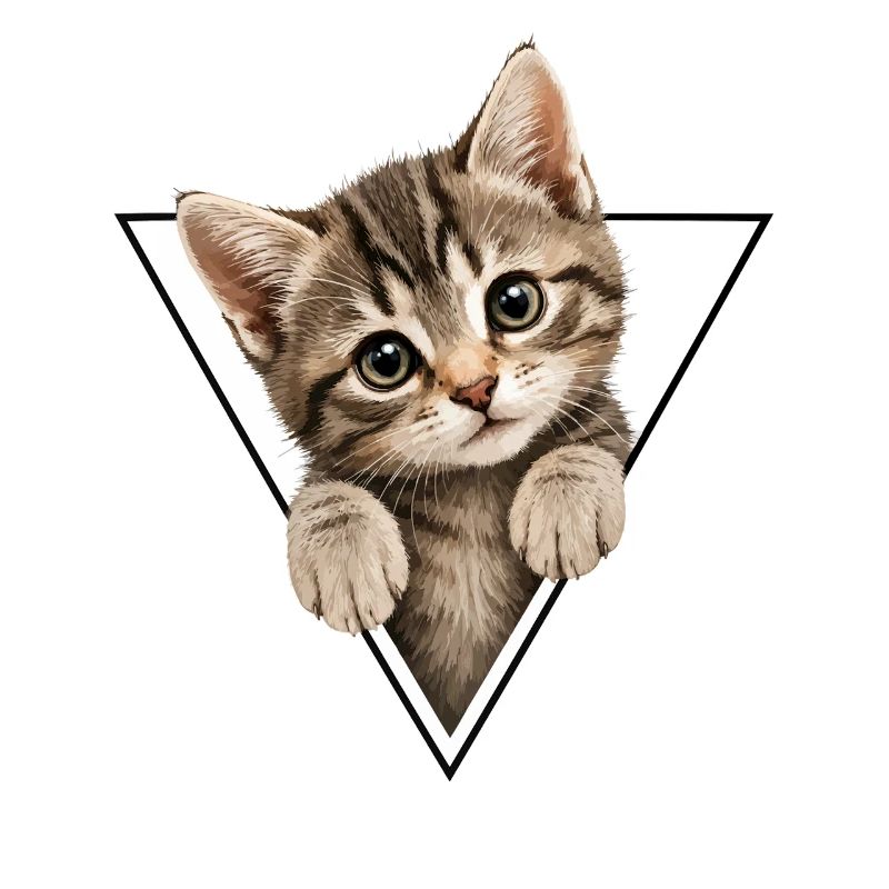 Chaton dans le triangle