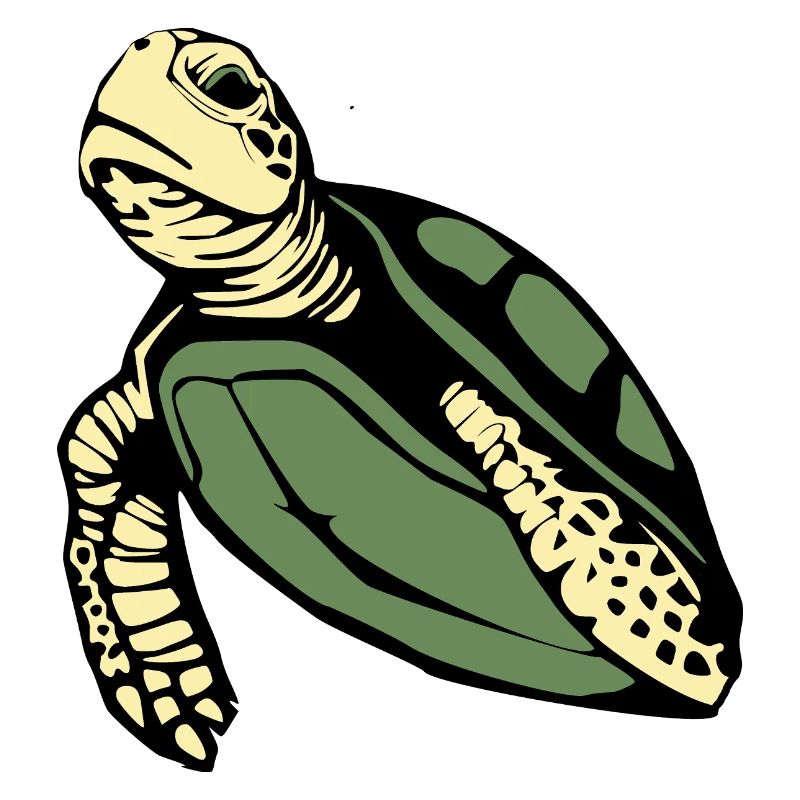 Turtle Turtles