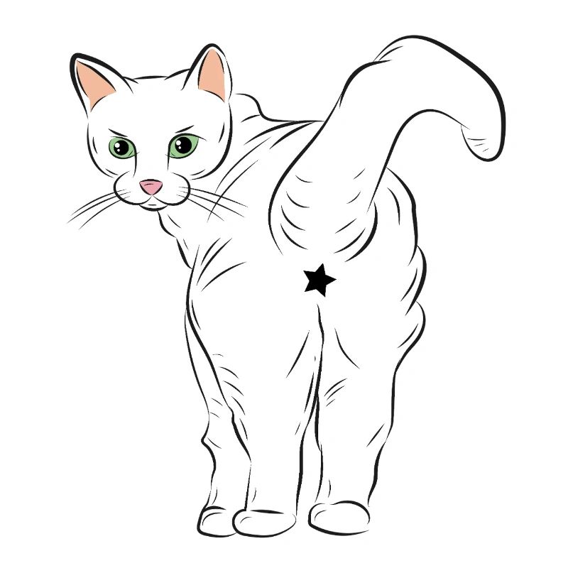 Chat blanc avec logo étoile