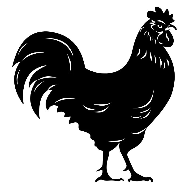 Rooster black transparent Shadow image