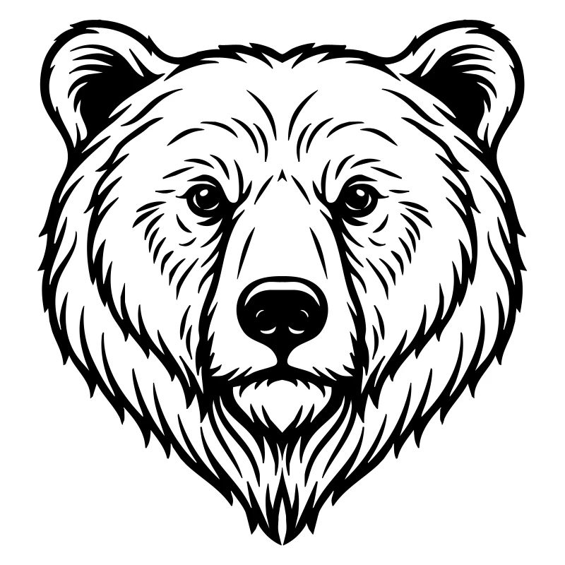 Bear Illustration