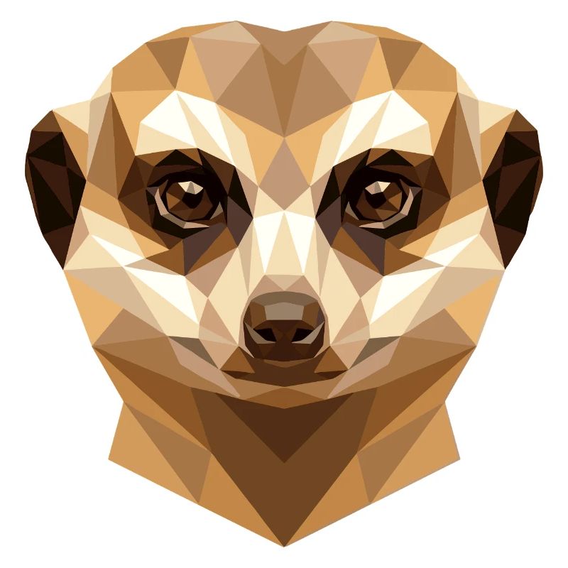 Suricate Suricate Douce Mangouste Suricate