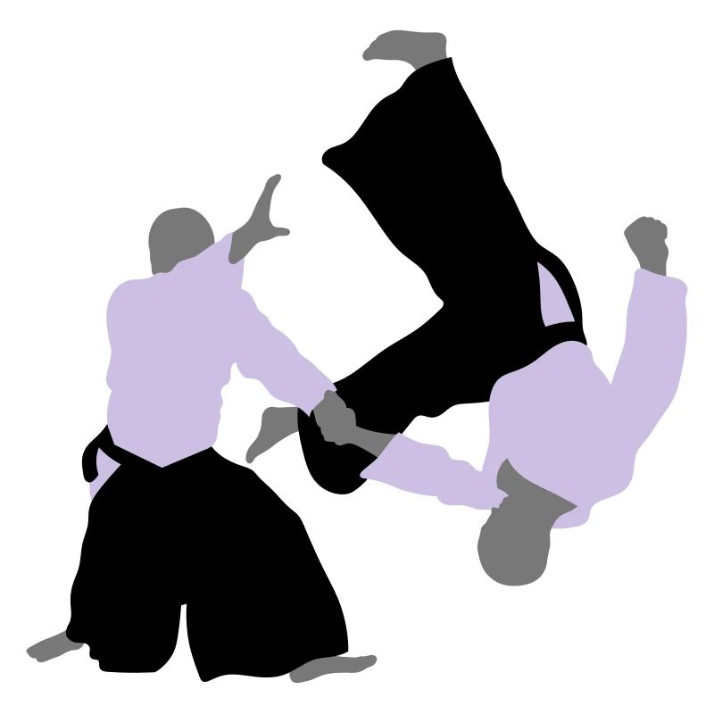 aikido