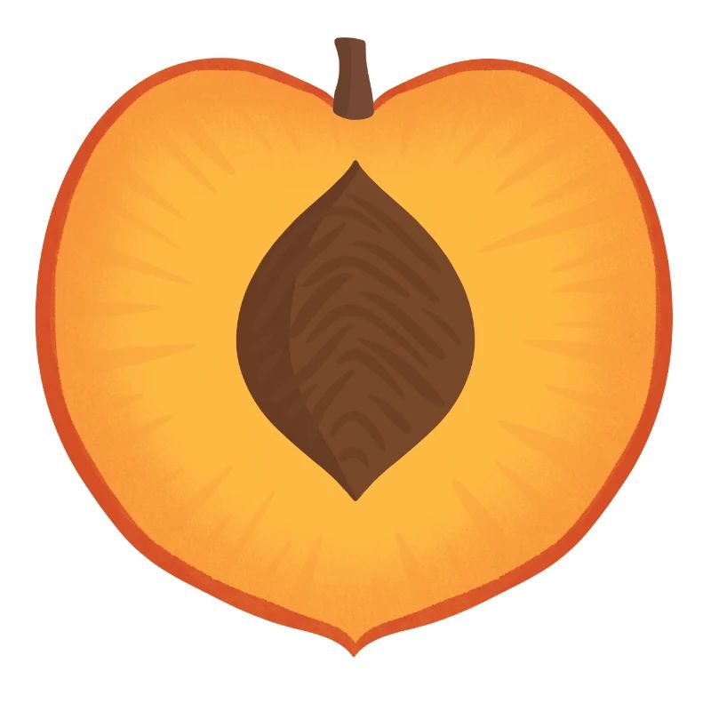 Lebendiger Pfirsich mit Samendetail