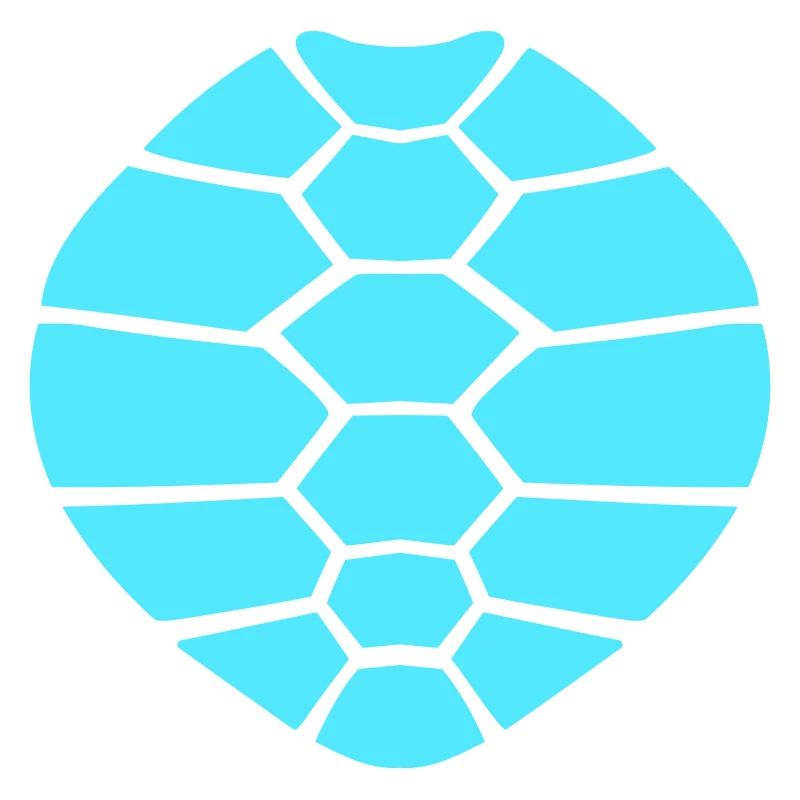 Turtle shell pattern turtle icon cool