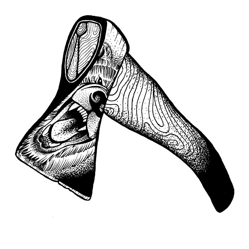 Axe & Bear - When Your Reflection Roars Back