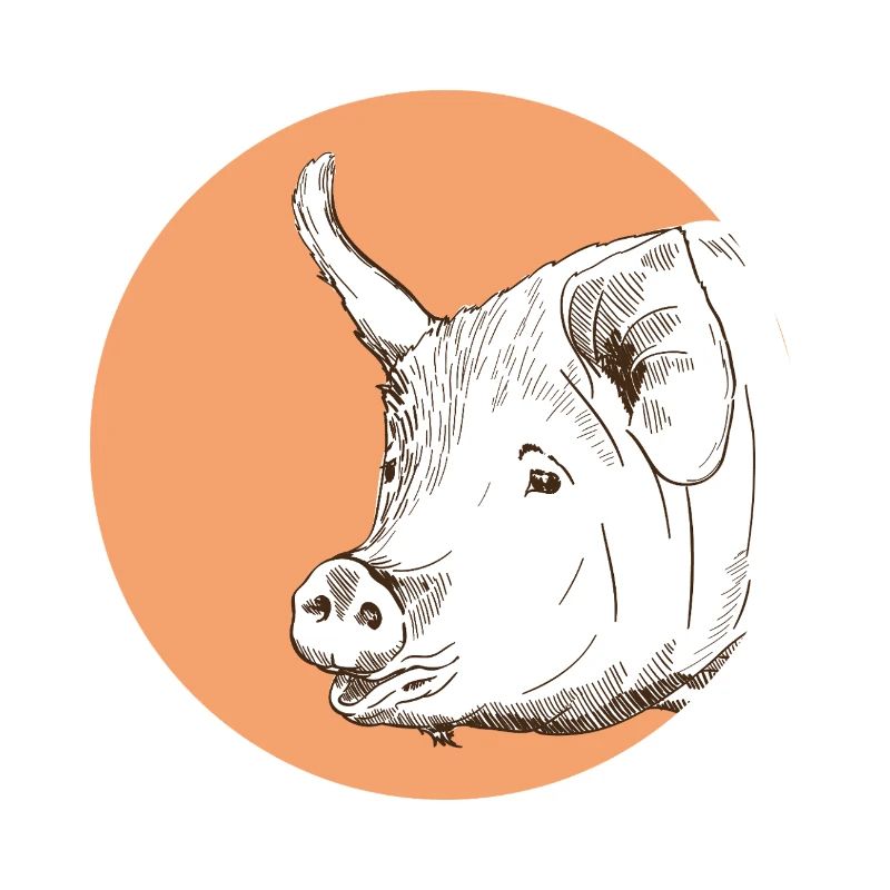 Cochon
