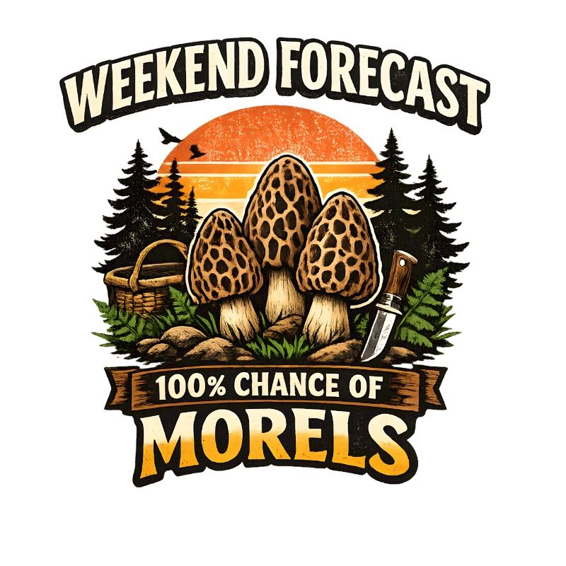 Wochenendvorhersage 100% Chance auf Morcheln