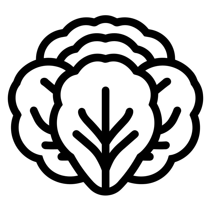 cabbage