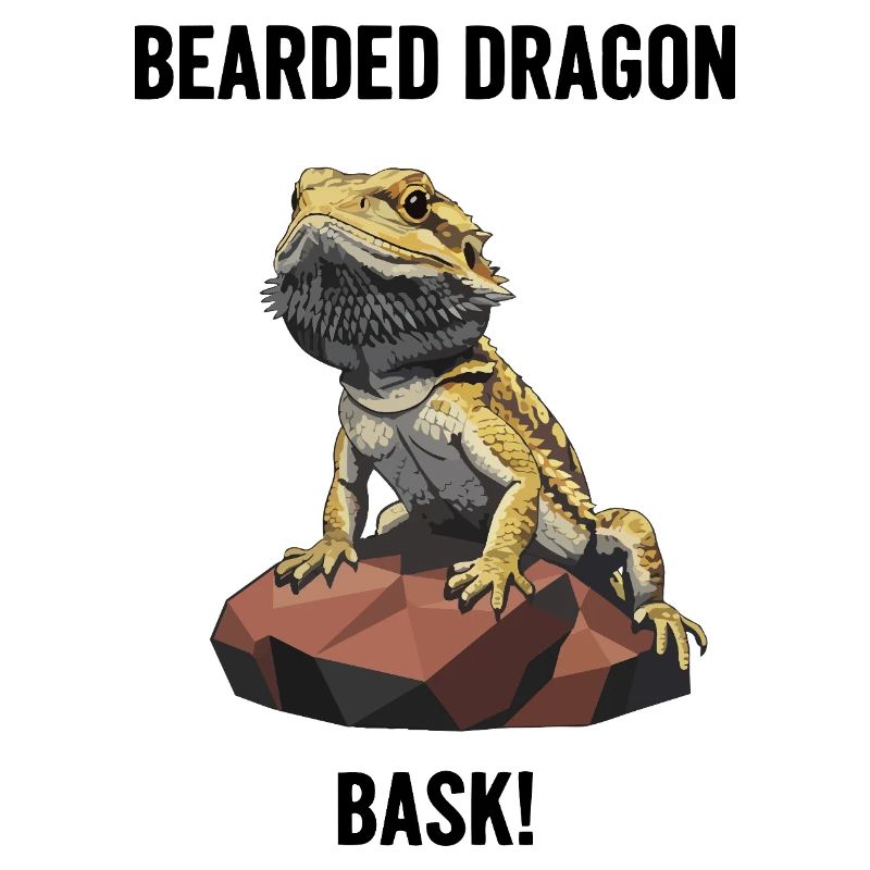 Agame Bearded Lizard Bask Bearded Dragon