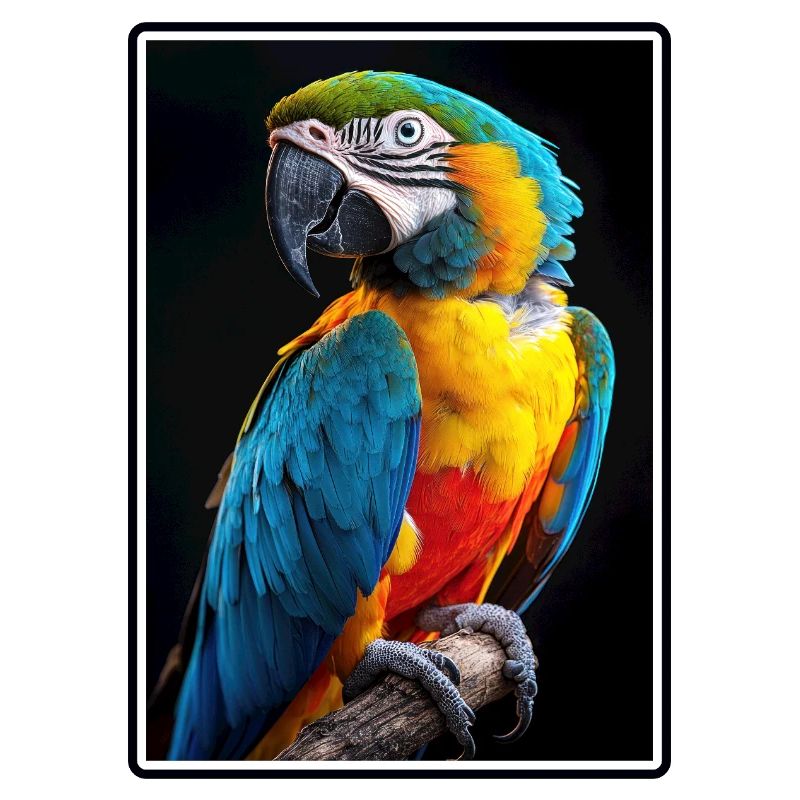 Macaw's Era