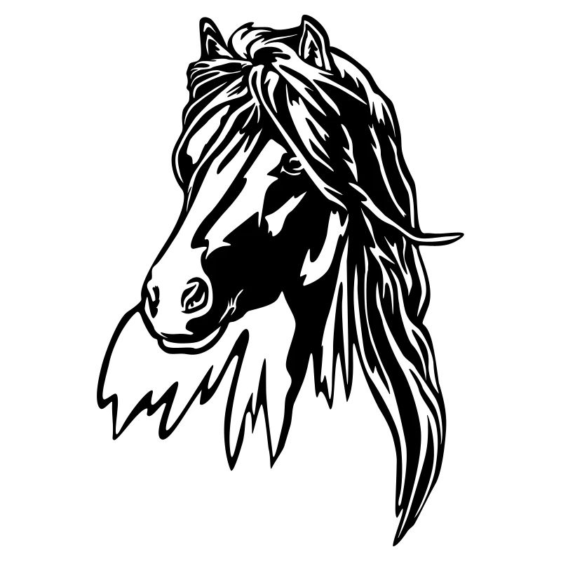 Pferd Kopf