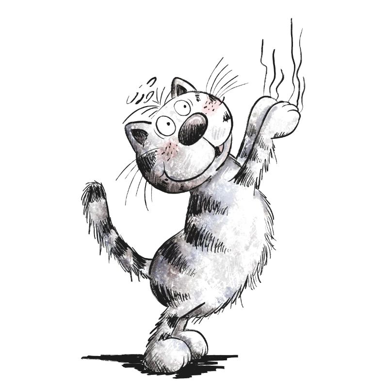 Funny cat scratches
