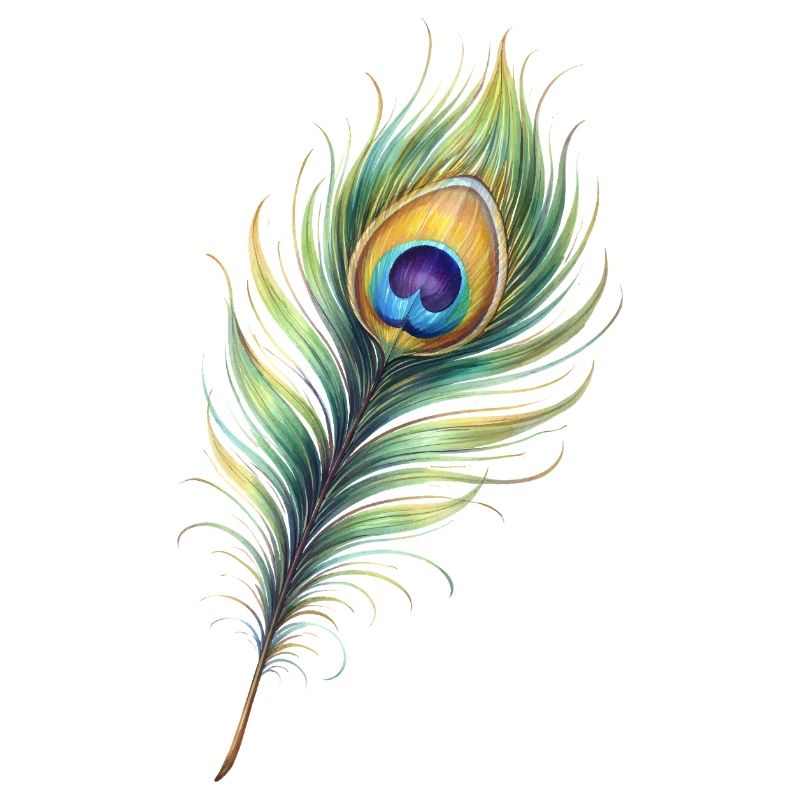 Peacock Feather Illustration Gradient Elegant