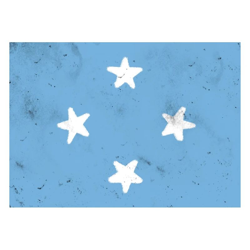 Drapeau de la Micronésie