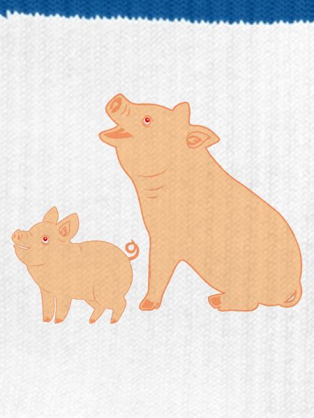Mutterschwein mit Ferkel