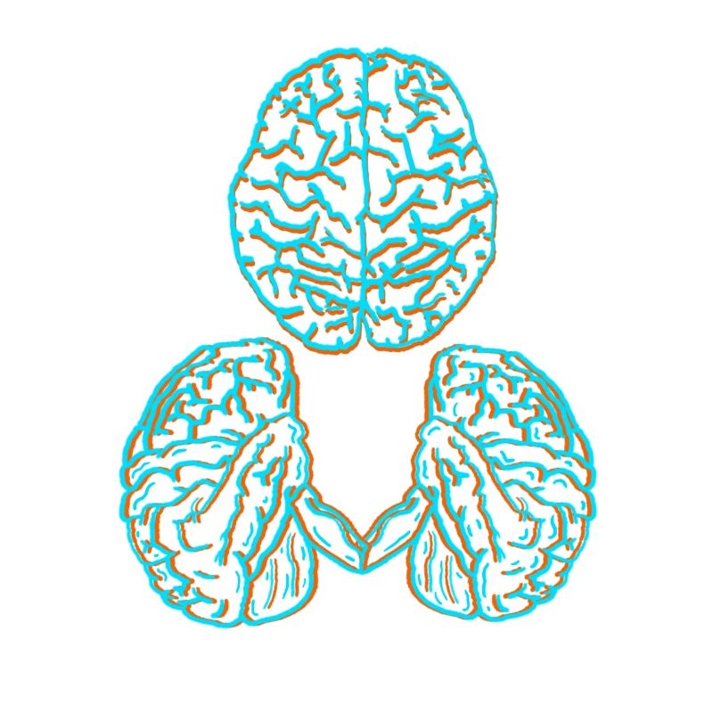 Brain