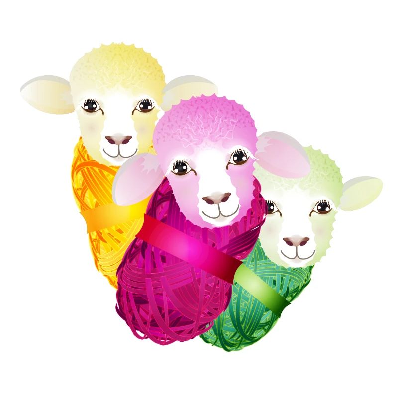 three colourful sheep with colour-coordinated wool
