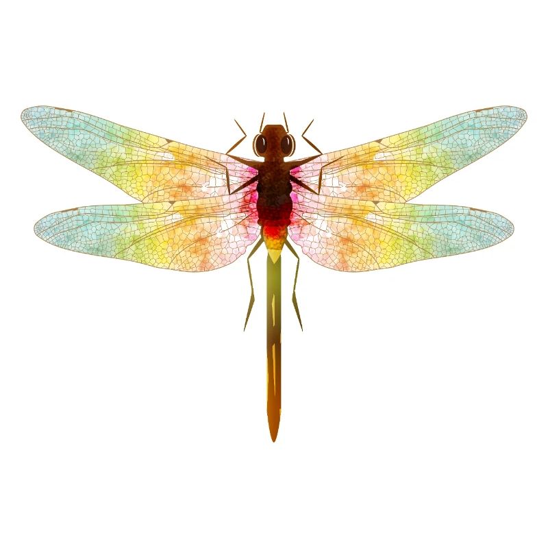 Libellule irisée – motif insecte en filigrane