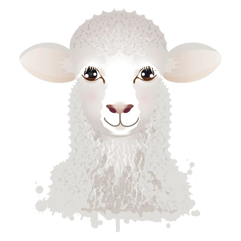 A cute sheep as a graffiti portrait