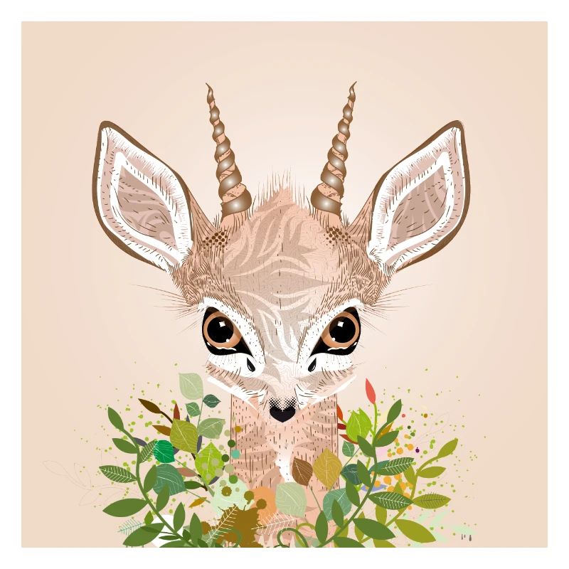 Dwarf antelope Dikdik with big eyes
