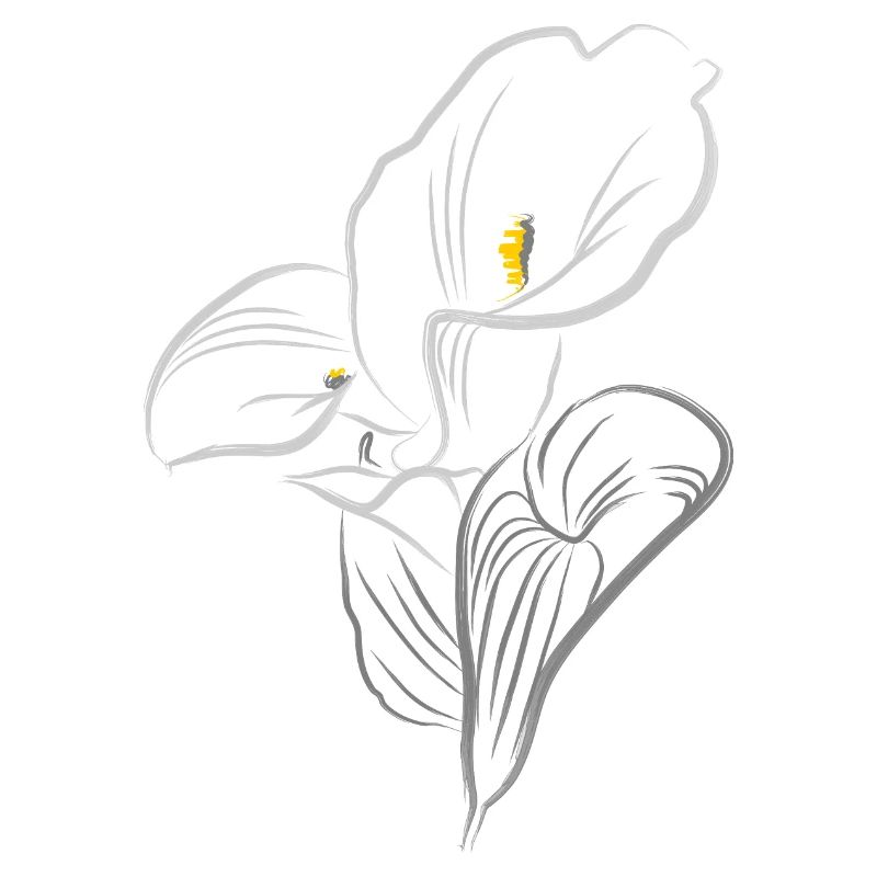 CALLA JAUNE-GRIS