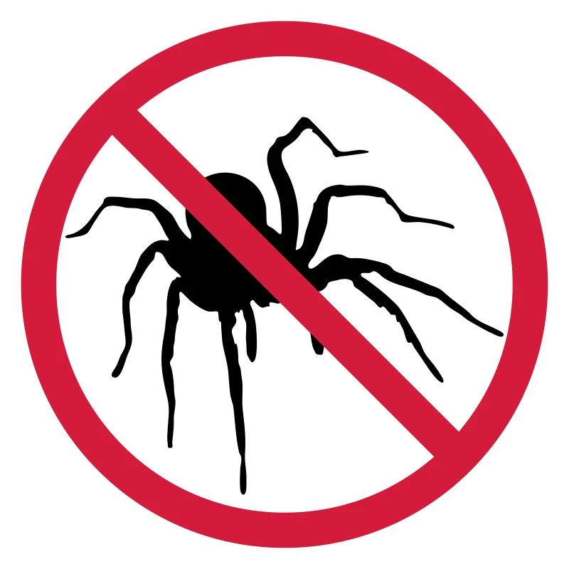 aucune araignée interdit bouclier conception araignée cl