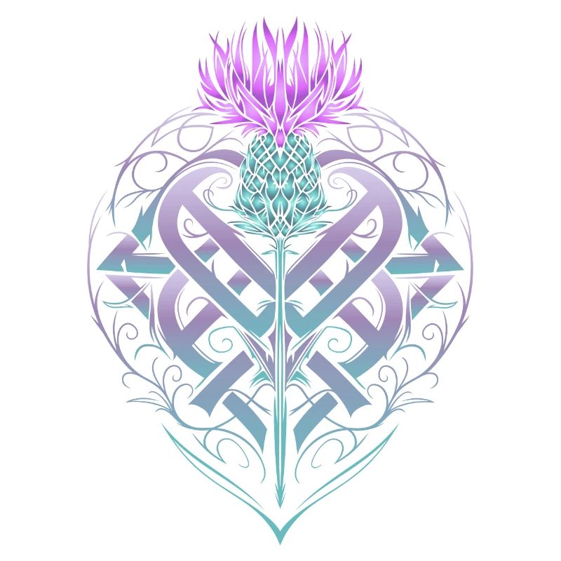 Thistle Shield Celtic Knots Thistle Lover