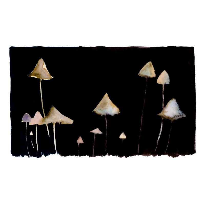 Champignons