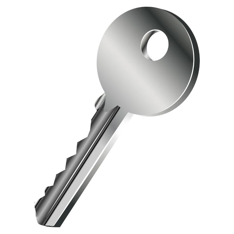 clé unique de couleur argent