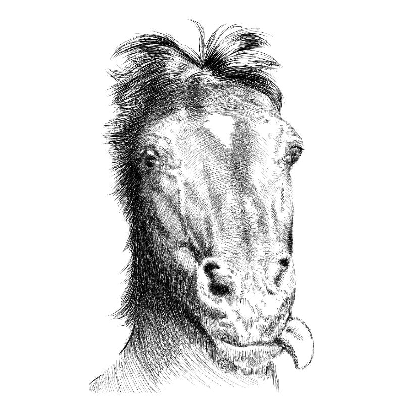 Pferd