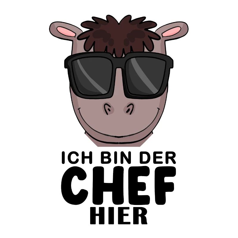 Cool Pferd Chef Spruch