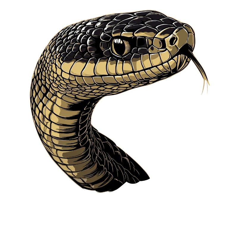 Serpent Python Cobra Mamba Serpent à sonnettes Serpent