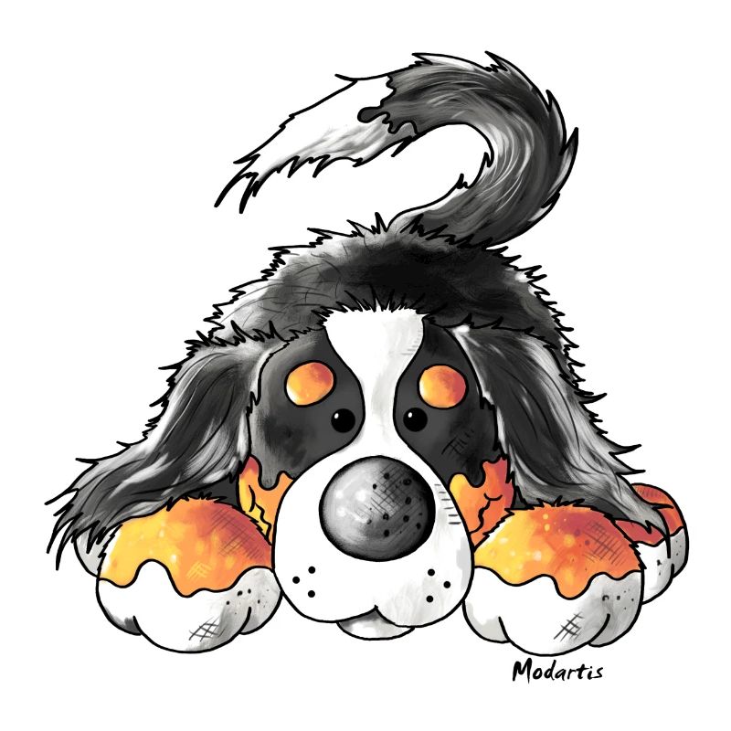 Mignon Bouvier bernois - Chiens