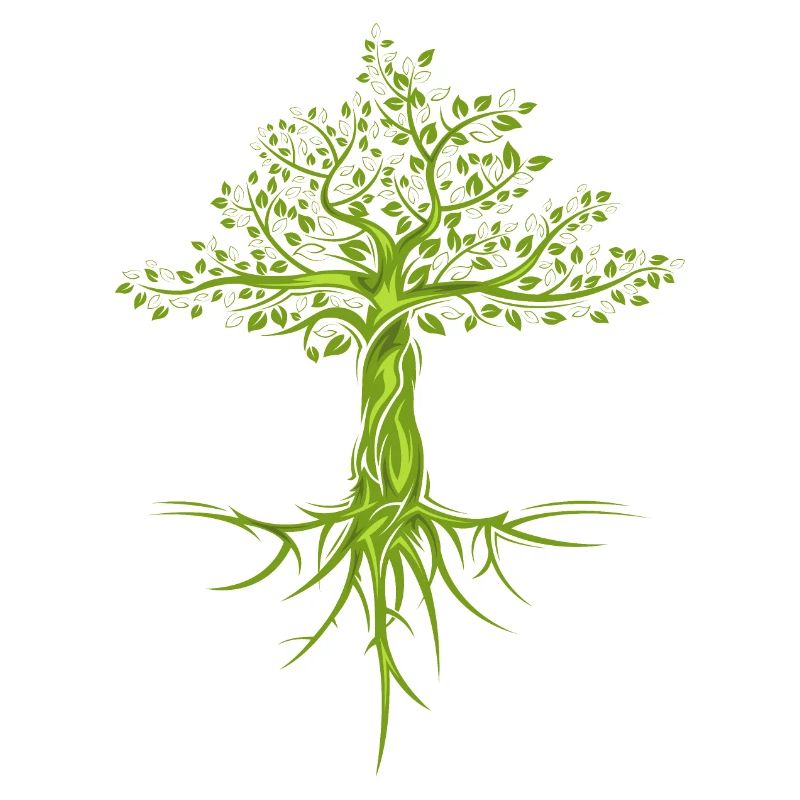 trees tree nature nature symbol forest forest logo