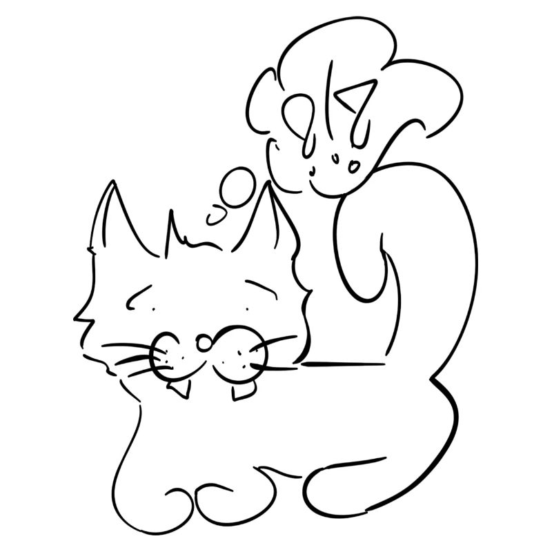 Katze