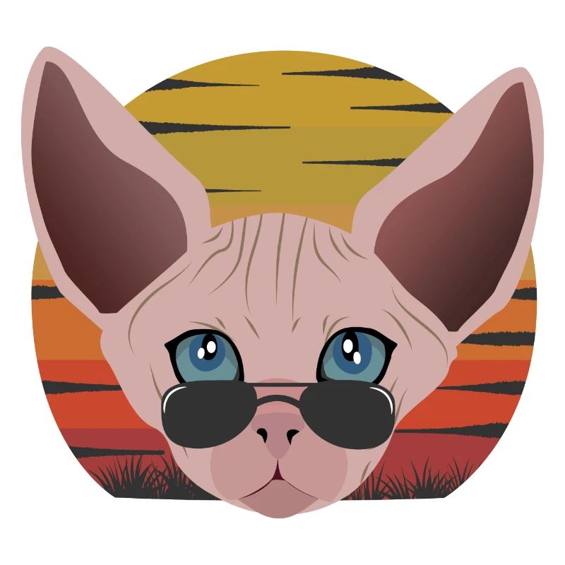 Coucher de soleil de chat Sphinx